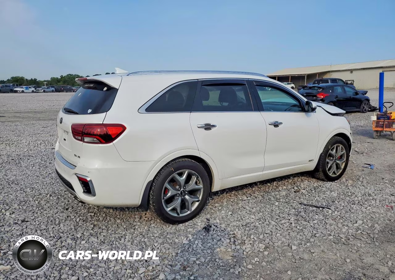 2019 Kia Sorento Sx V6 VIN:5XYPKDA52KG448991 - 3