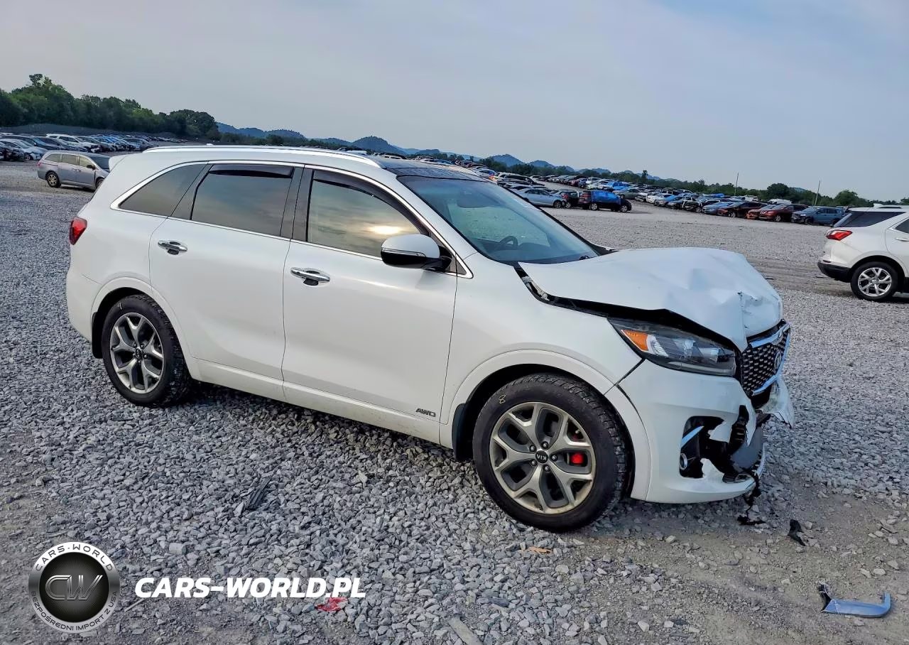 2019 Kia Sorento Sx V6 VIN:5XYPKDA52KG448991 - 4