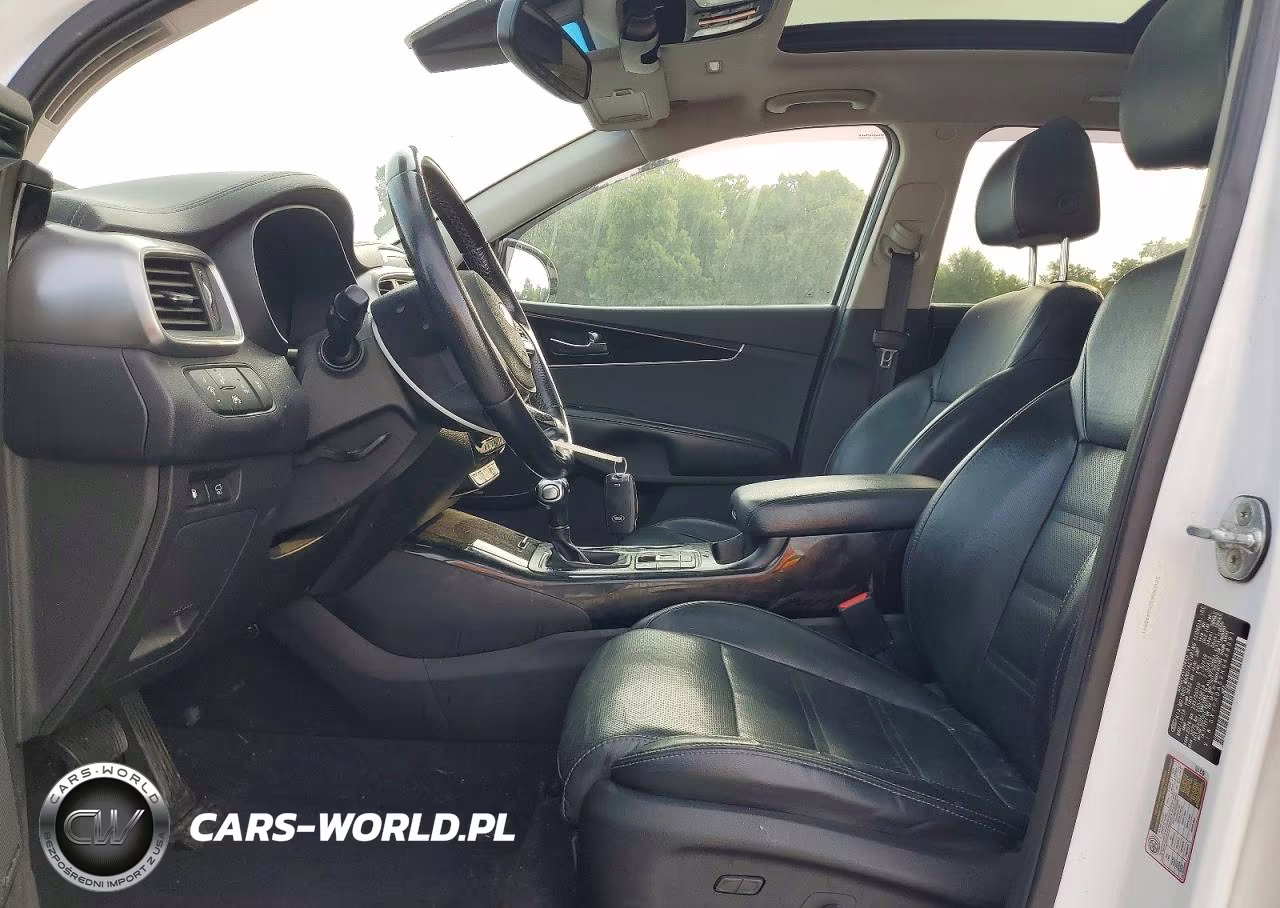 2019 Kia Sorento Sx V6 VIN:5XYPKDA52KG448991 - 7