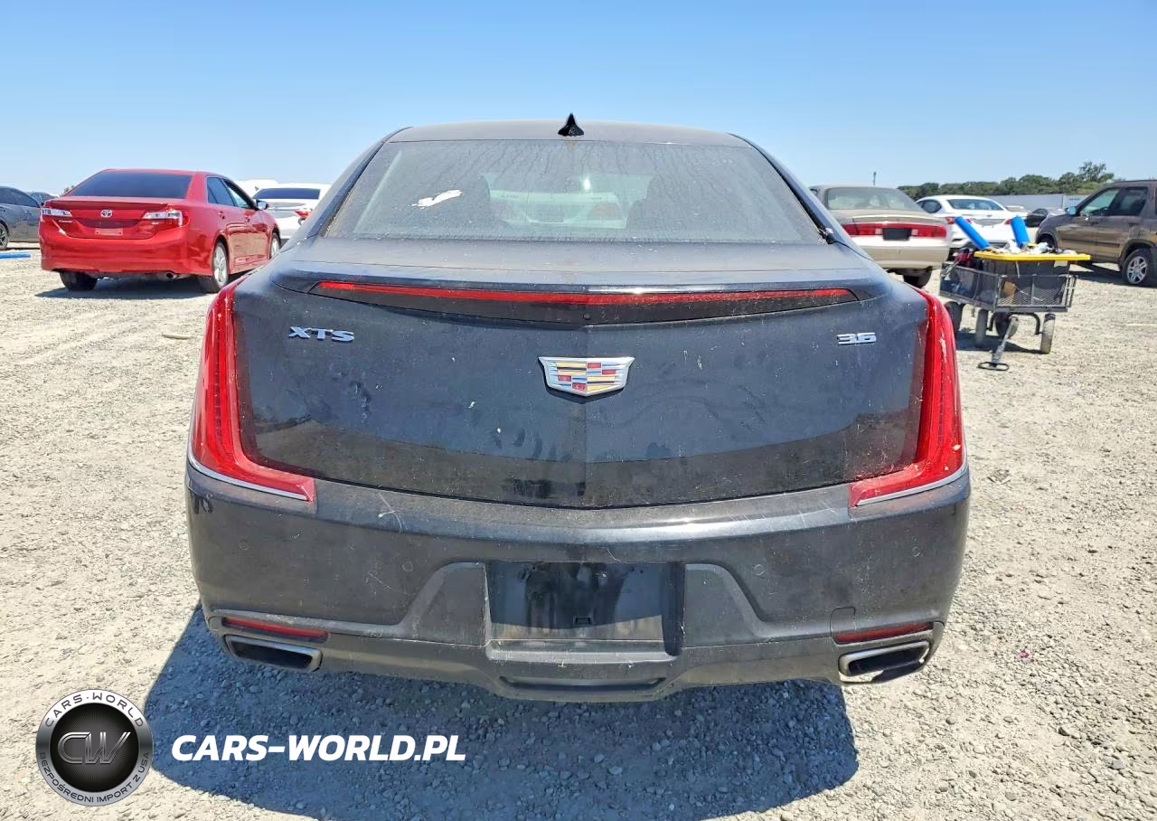 2019 Cadillac Xts Luxury VIN:2G61M5S3XK9120302 - 6