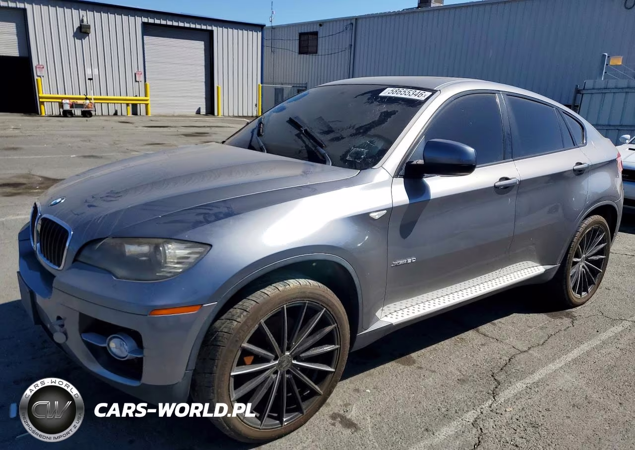 2009 BMW X6