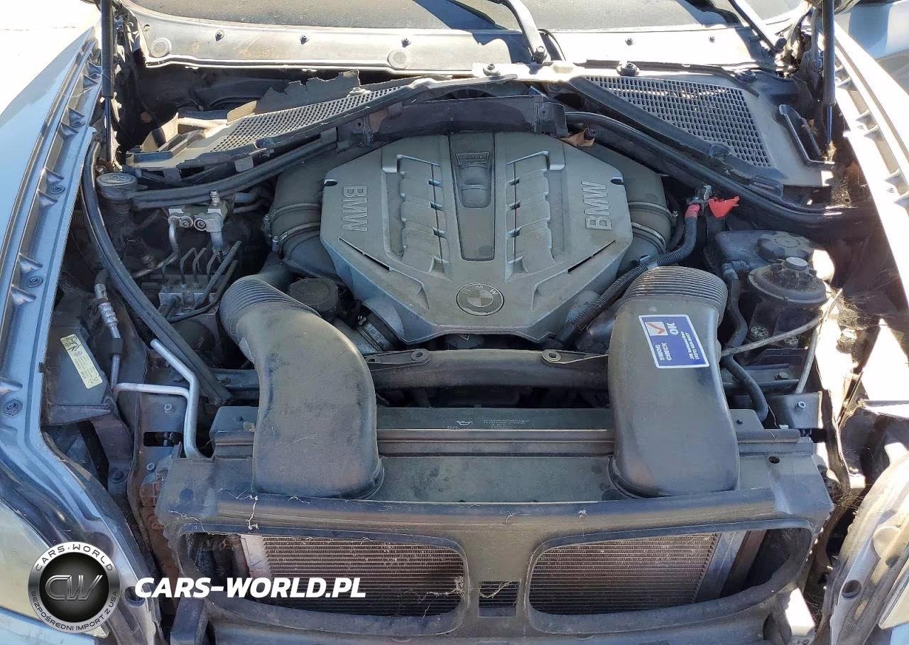 2009 BMW X6 VIN:5UXFG835X9LZ92394 - 12