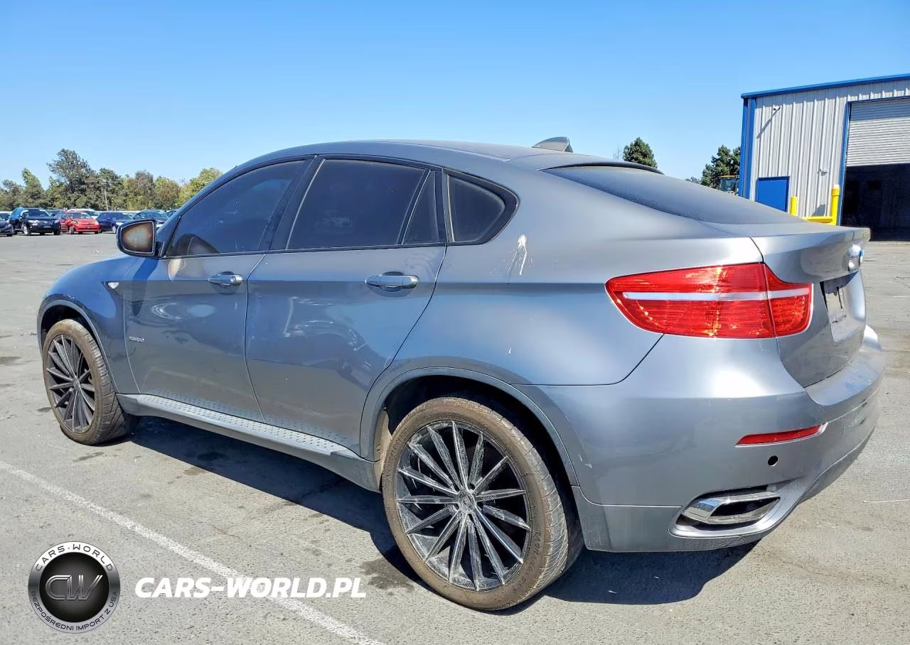 2009 BMW X6 VIN:5UXFG835X9LZ92394 - 2