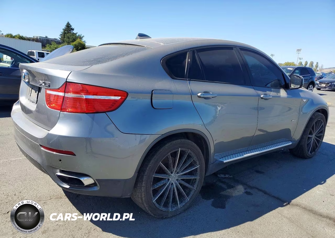 2009 BMW X6 VIN:5UXFG835X9LZ92394 - 3