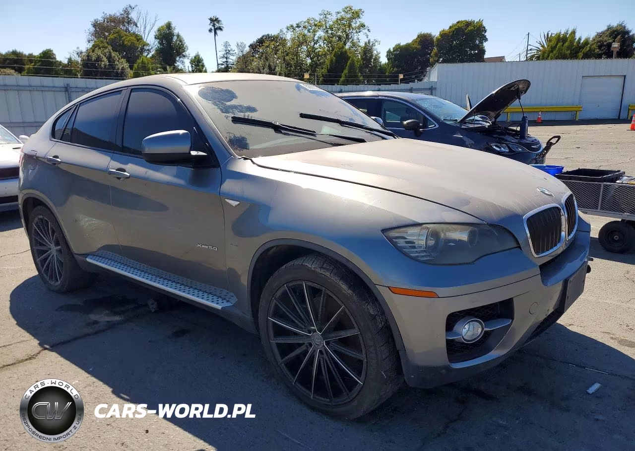 2009 BMW X6 VIN:5UXFG835X9LZ92394 - 4