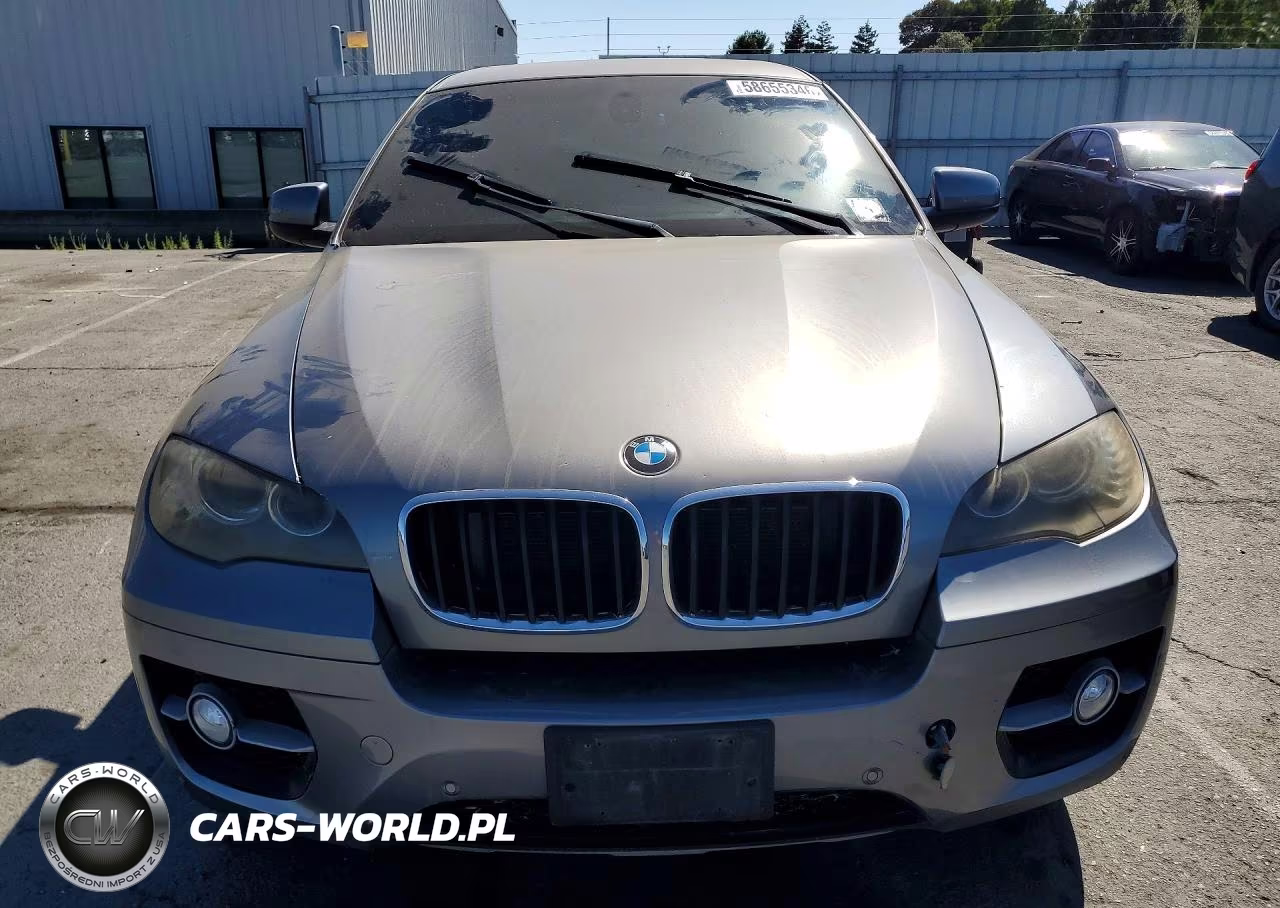 2009 BMW X6 VIN:5UXFG835X9LZ92394 - 5
