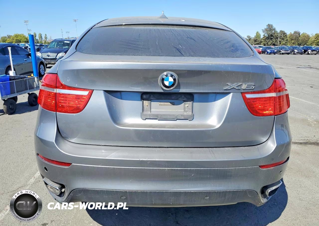 2009 BMW X6 VIN:5UXFG835X9LZ92394 - 6