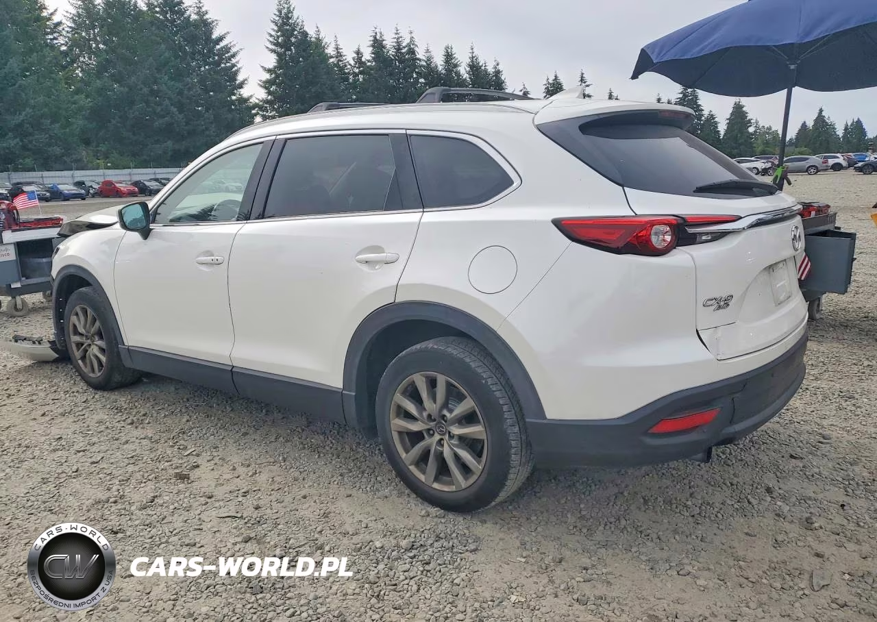 2019 Mazda Cx-9 Touring VIN:JM3TCBCY5K0306929 - 2