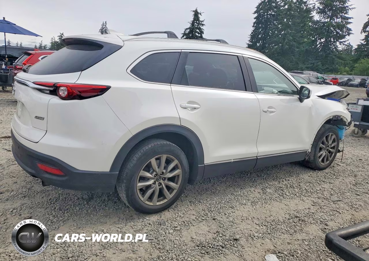 2019 Mazda Cx-9 Touring VIN:JM3TCBCY5K0306929 - 3