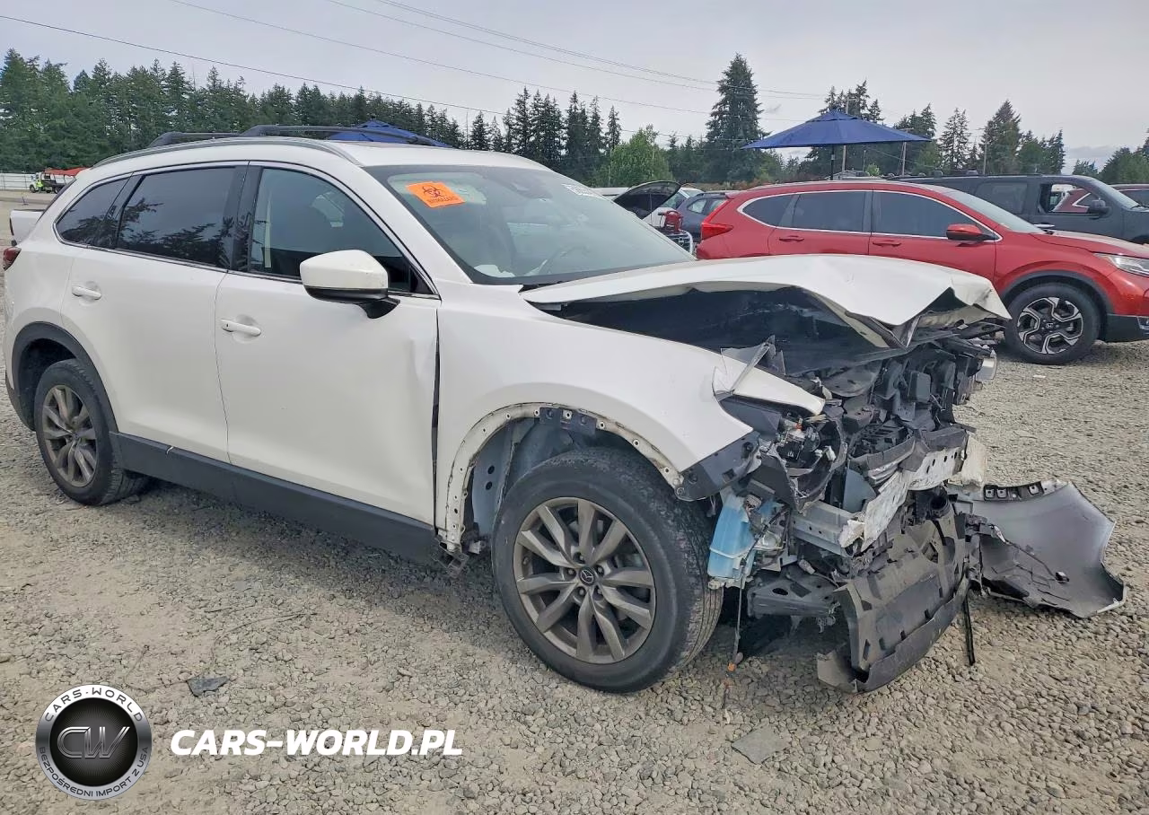 2019 Mazda Cx-9 Touring VIN:JM3TCBCY5K0306929 - 4