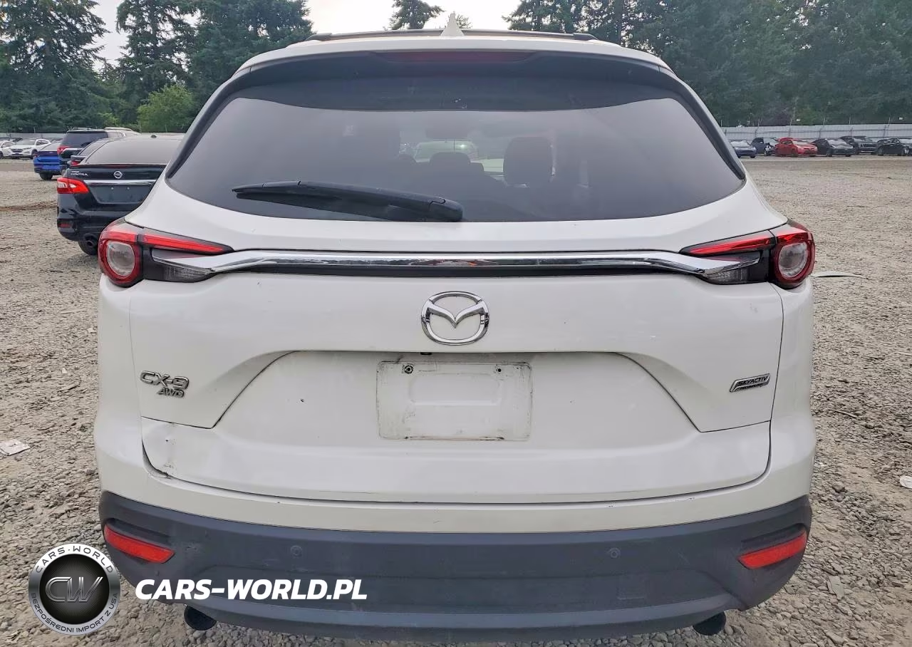 2019 Mazda Cx-9 Touring VIN:JM3TCBCY5K0306929 - 6