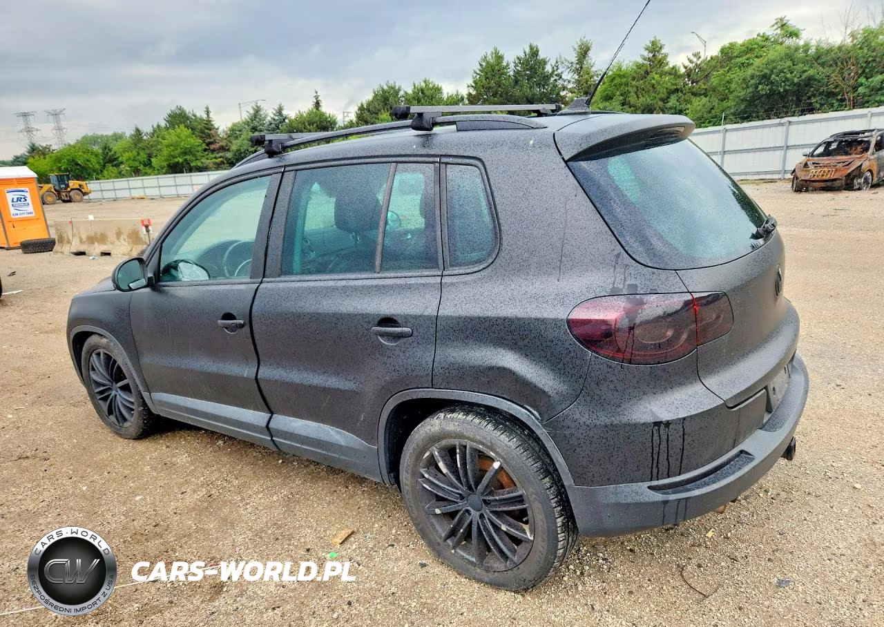 2011 Volkswagen Tiguan S VIN:WVGBV7AX3BW534426 - 2