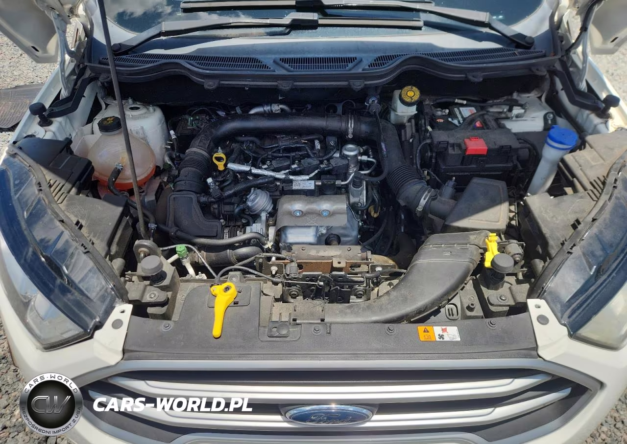 2018 Ford Ecosport Se VIN:MAJ3P1TE9JC209233 - 12