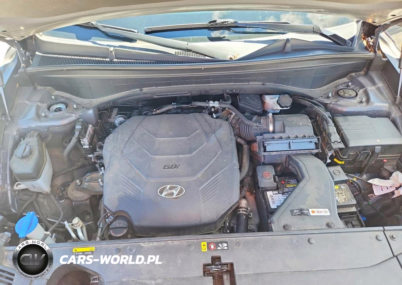 2020 Hyundai Palisade Sel VIN:KM8R24HE0LU104621 - 12