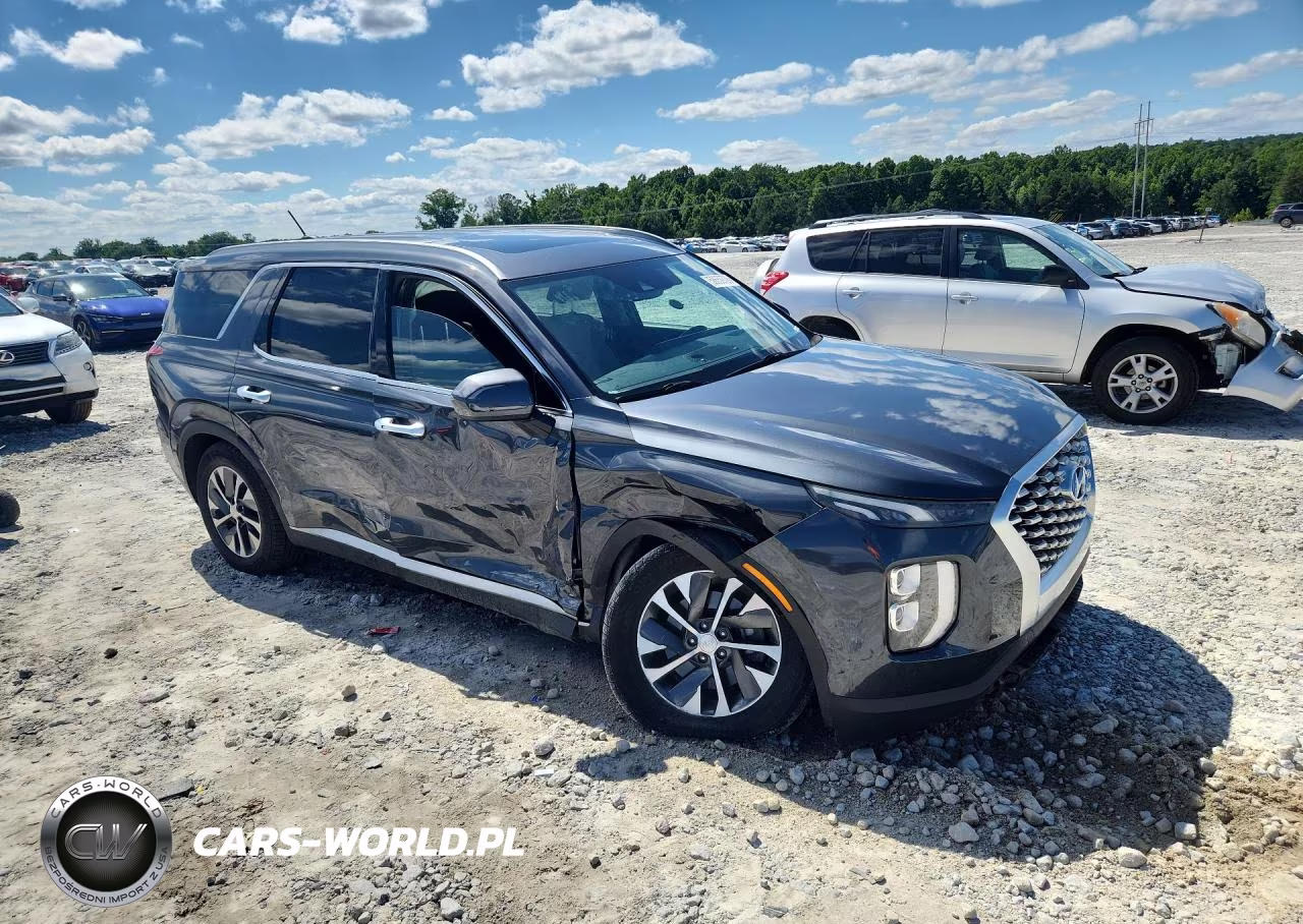 2020 Hyundai Palisade Sel VIN:KM8R24HE0LU104621 - 4