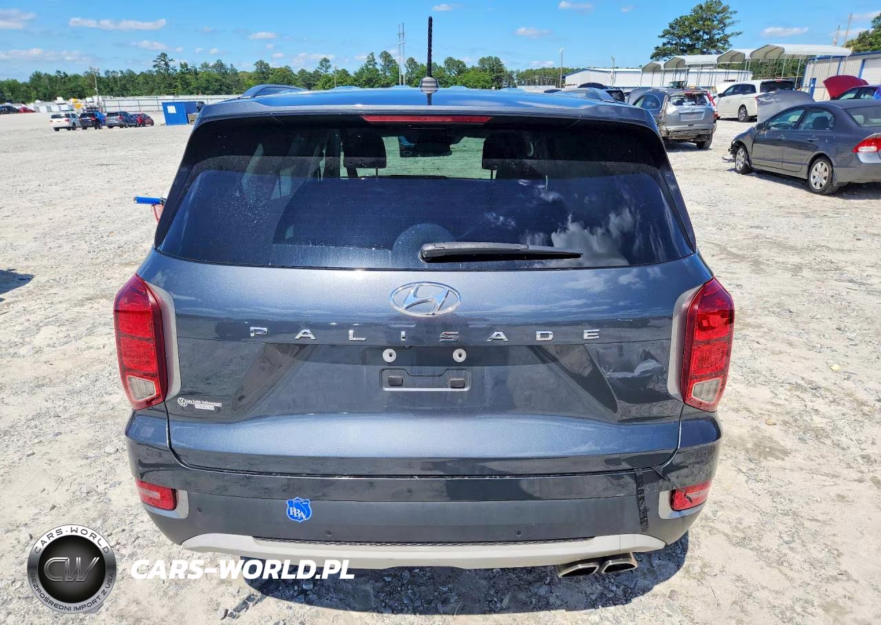 2020 Hyundai Palisade Sel VIN:KM8R24HE0LU104621 - 6