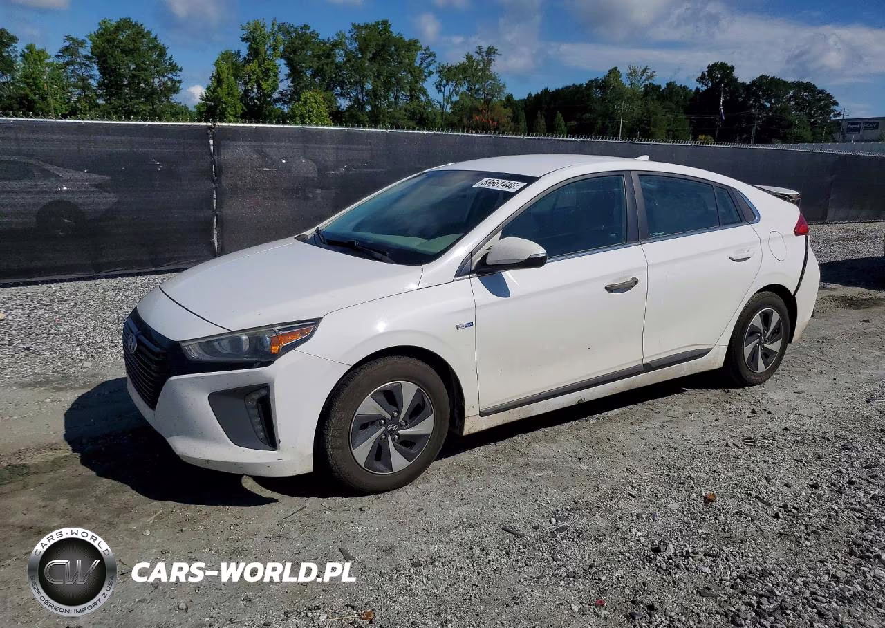 2017 Hyun Ioniq Electric