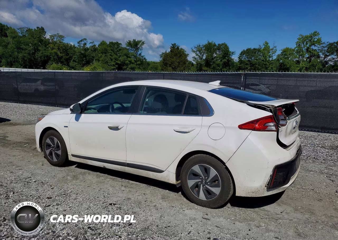 2017 Hyun Ioniq Electric VIN:KMHC75LC6HU047478 - 2