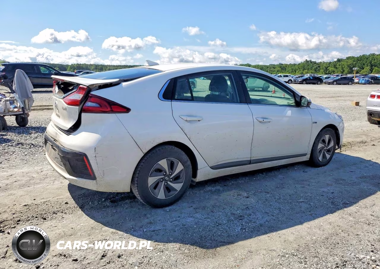 2017 Hyun Ioniq Electric VIN:KMHC75LC6HU047478 - 3