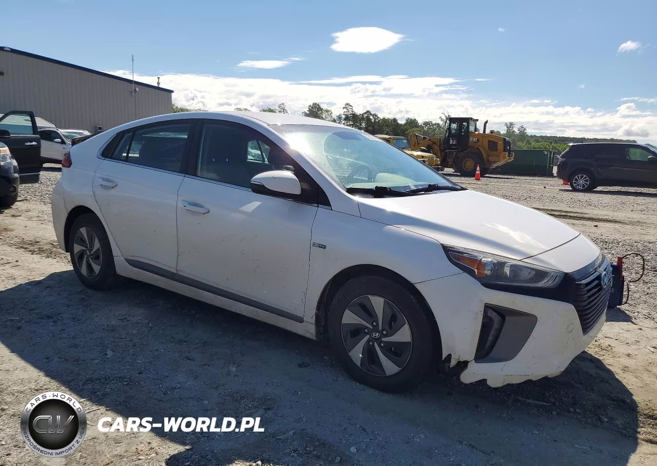 2017 Hyun Ioniq Electric VIN:KMHC75LC6HU047478 - 4