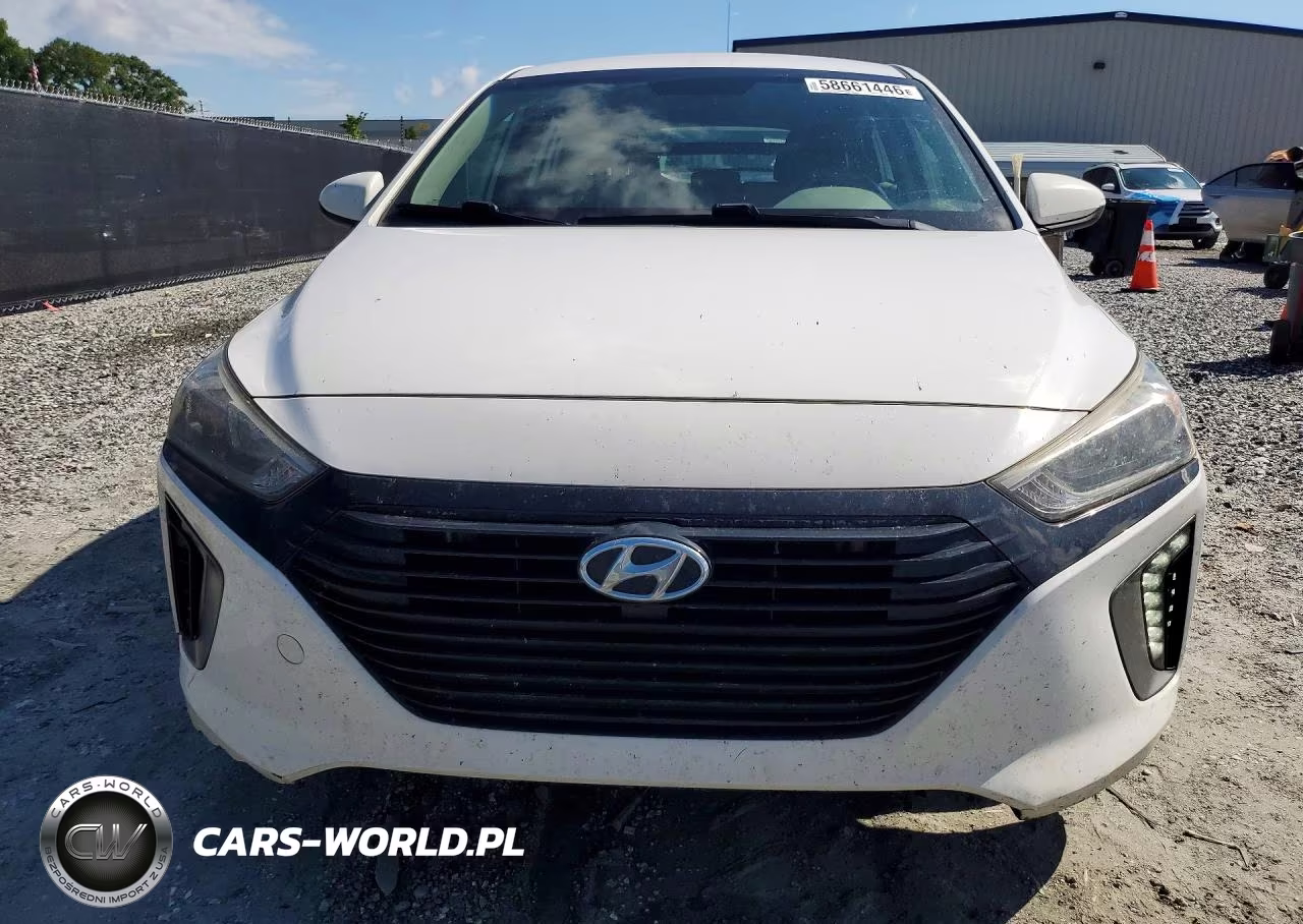 2017 Hyun Ioniq Electric VIN:KMHC75LC6HU047478 - 5