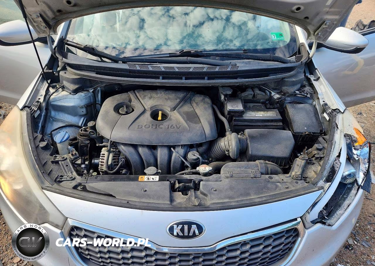 2016 Kia Forte VIN:KNAFK4A6XG5615342 - 11