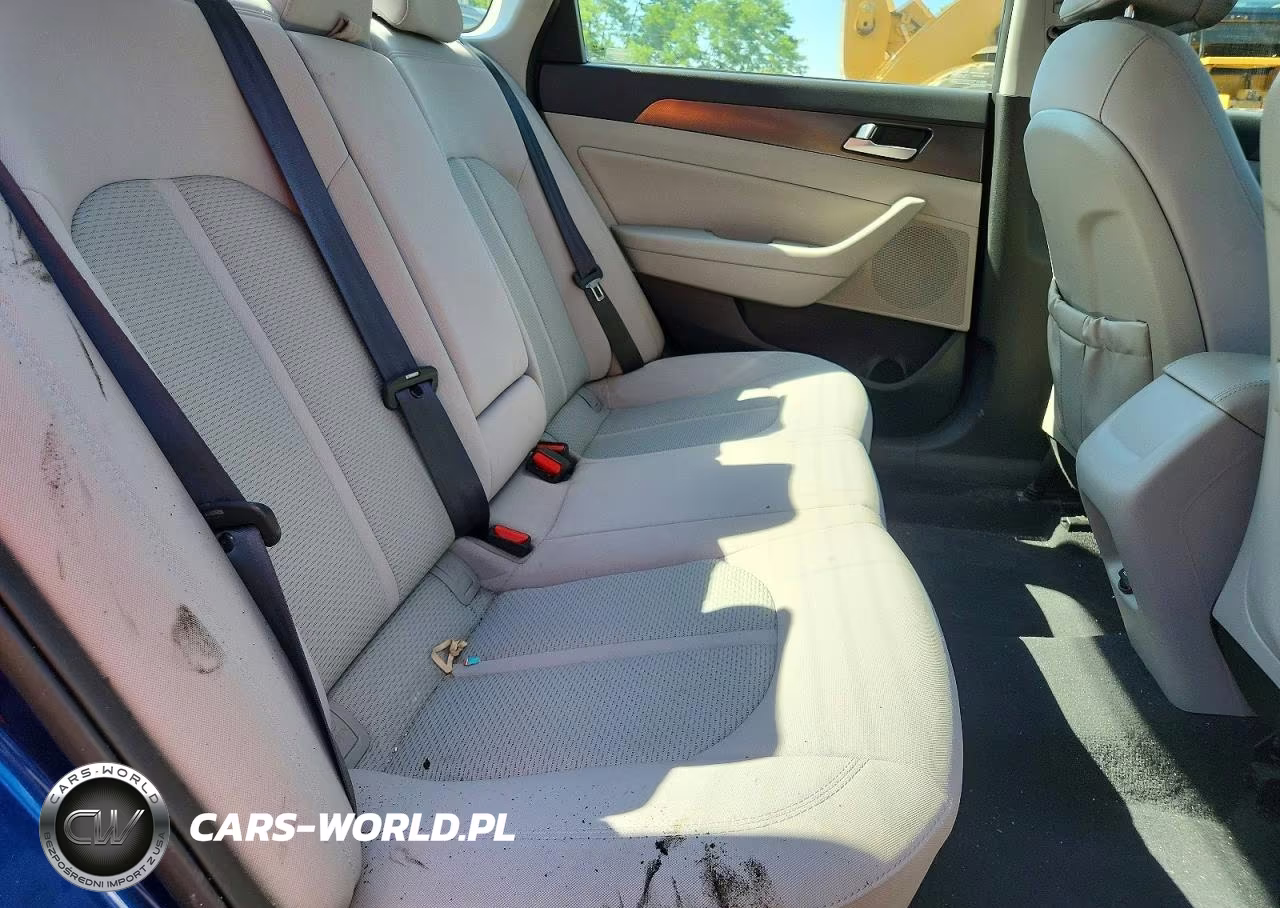 2017 Hyundai Sonata Sport VIN:5NPE34AF9HH450221 - 10