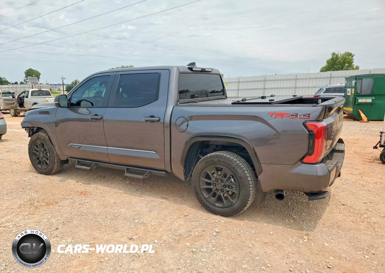 2026 Toyota Tundra Platinum VIN:5TFWA5DB6TX399492 - 2