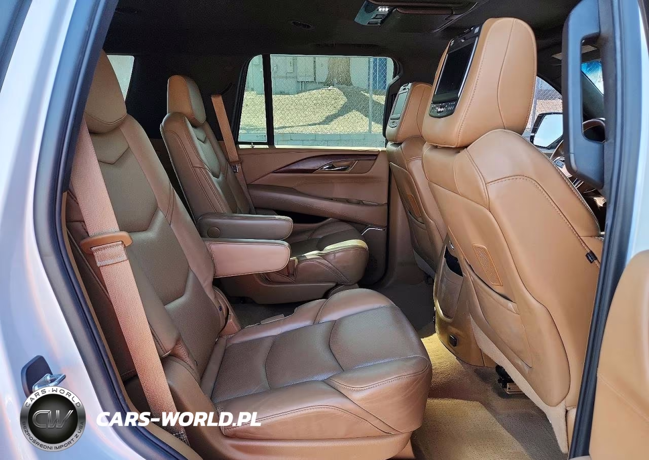 2017 Cadillac Escalade Platinum VIN:1GYS4DKJ0HR163971 - 10