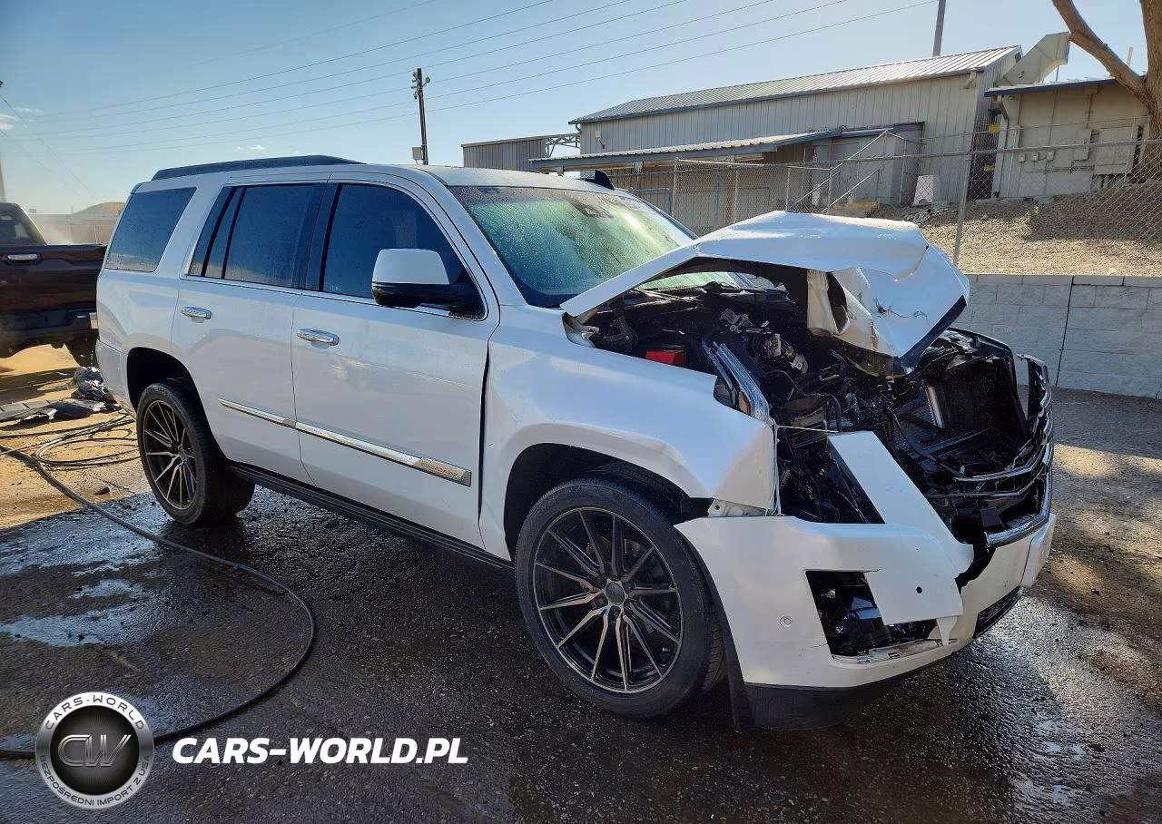 2017 Cadillac Escalade Platinum VIN:1GYS4DKJ0HR163971 - 4