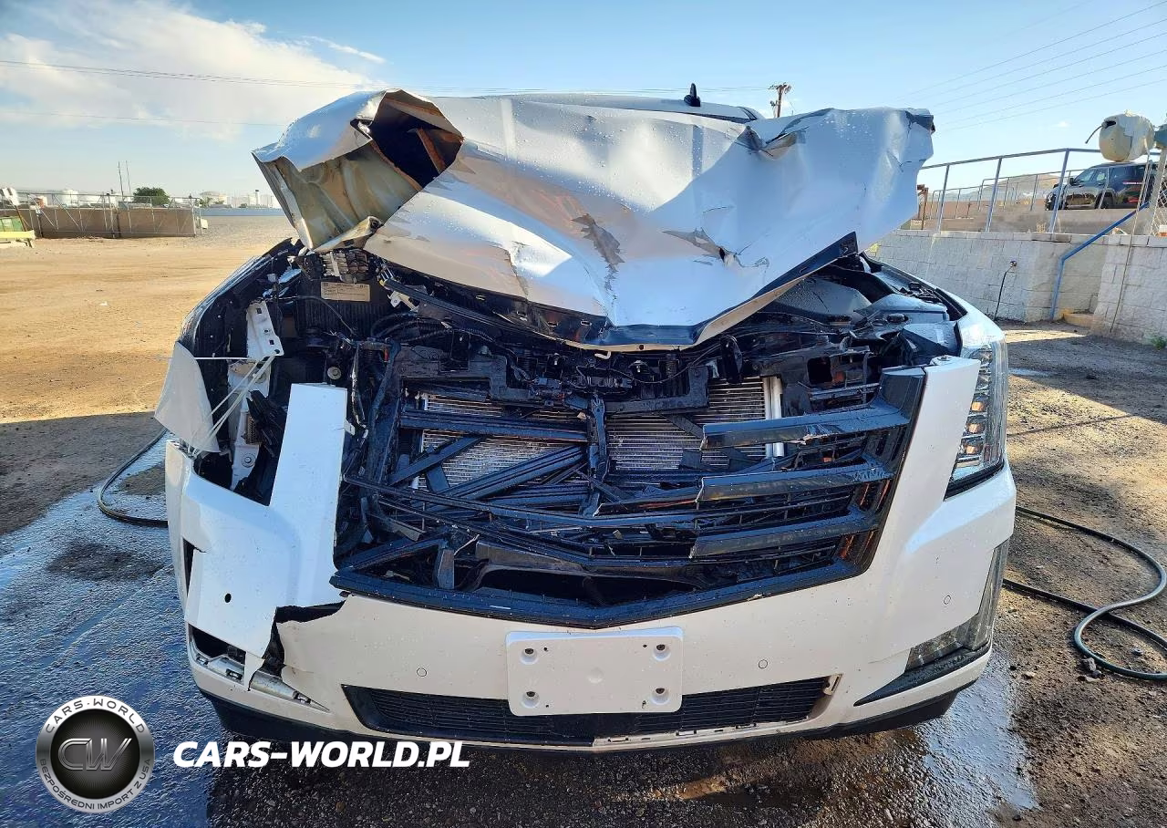 2017 Cadillac Escalade Platinum VIN:1GYS4DKJ0HR163971 - 5