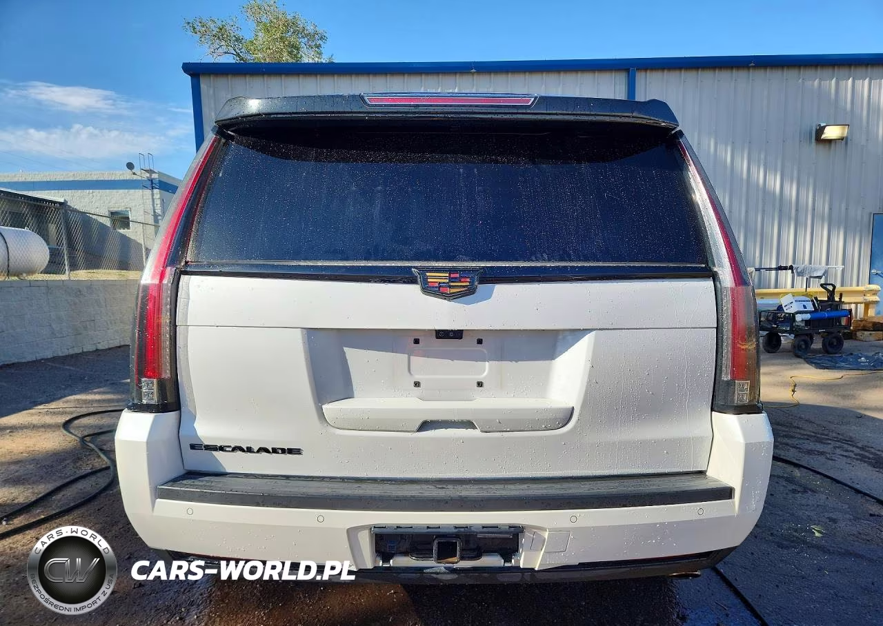 2017 Cadillac Escalade Platinum VIN:1GYS4DKJ0HR163971 - 6