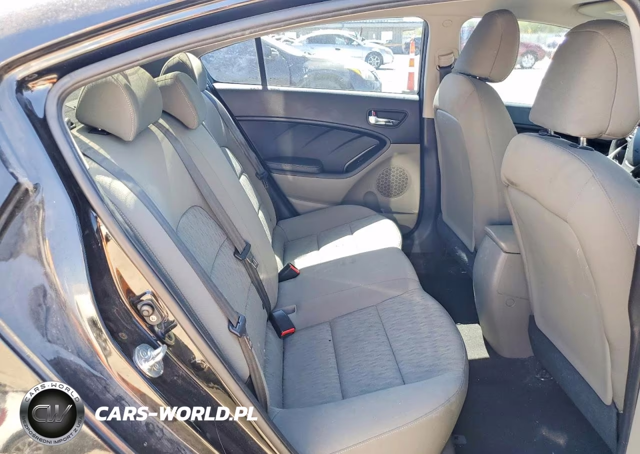 2015 Kia Forte Lx VIN:KNAFK4A62F5289759 - 10