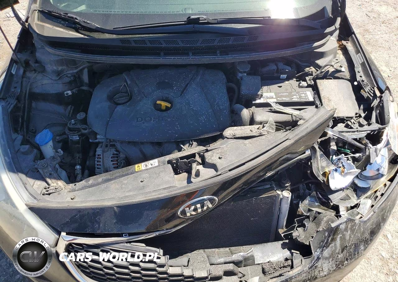 2015 Kia Forte Lx VIN:KNAFK4A62F5289759 - 11