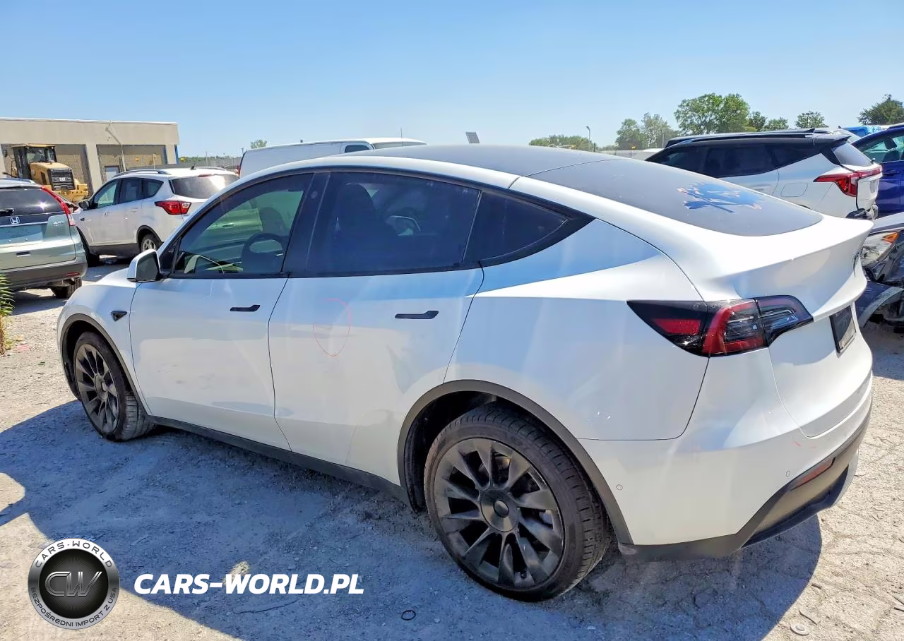 2022 Tesla Model Y VIN:7SAYGDEE2NF413284 - 2