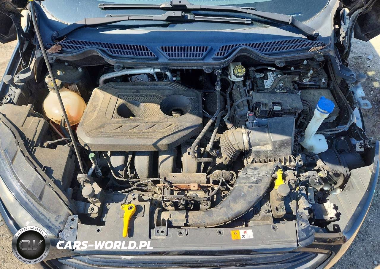 2020 Ford Ecosport Ses VIN:MAJ6S3JL2LC360555 - 12