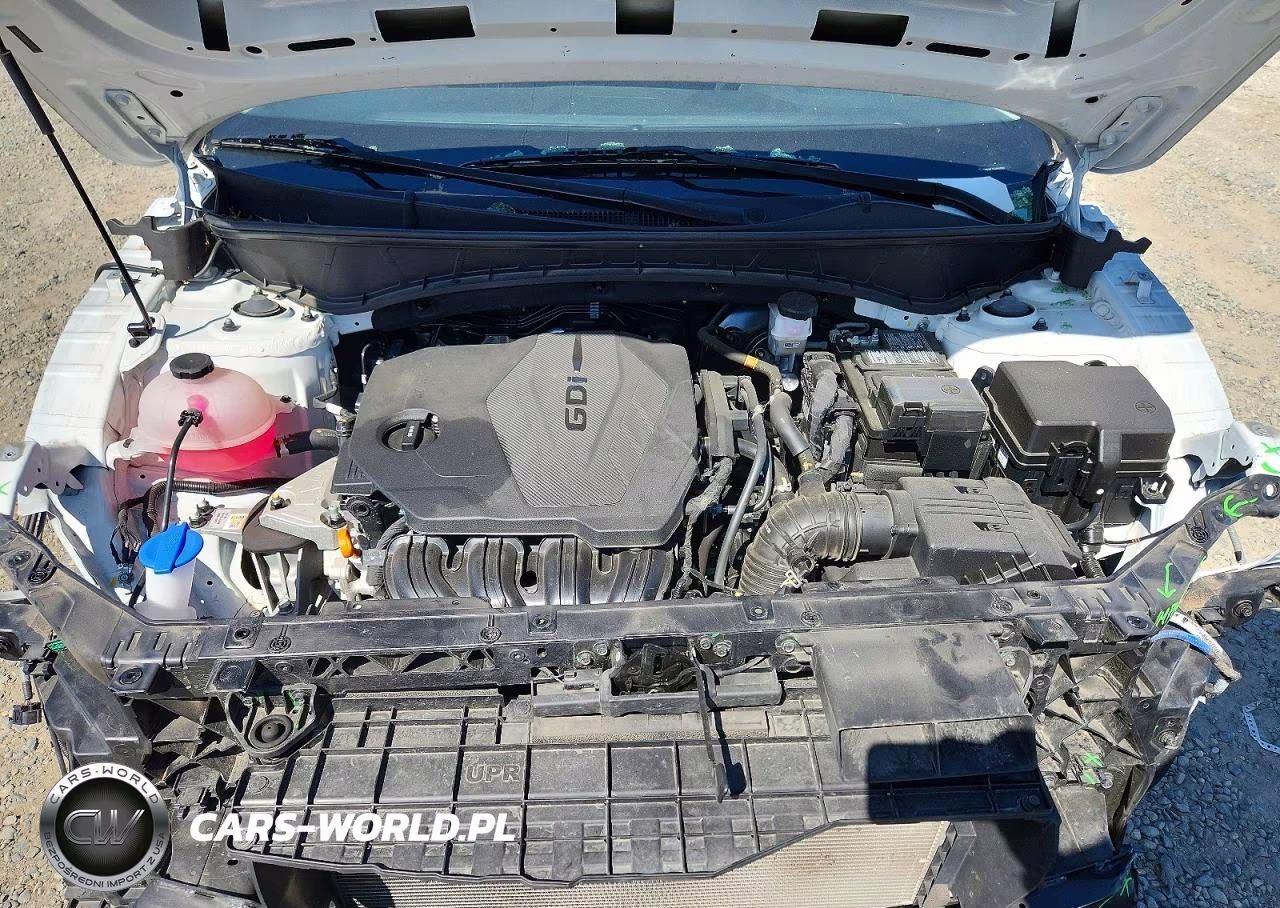 2024 Hyundai Tucson Sel VIN:5NMJBCDE6RH337811 - 12