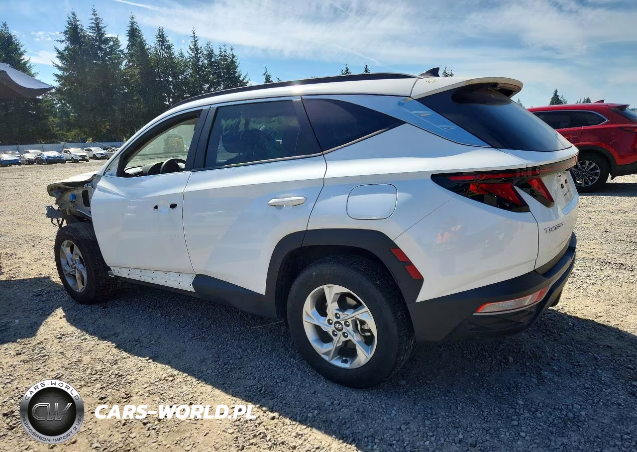 2024 Hyundai Tucson Sel VIN:5NMJBCDE6RH337811 - 2