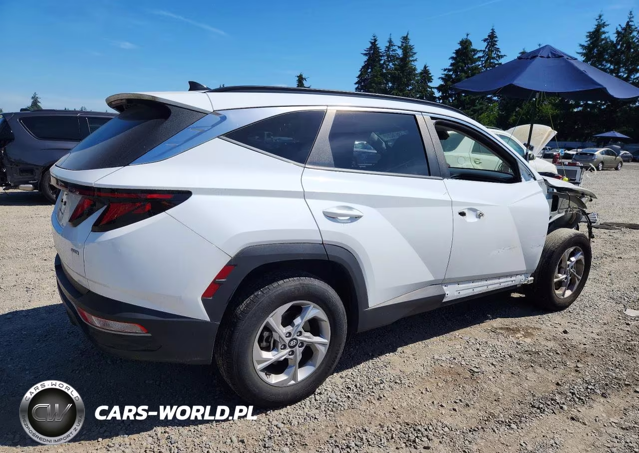 2024 Hyundai Tucson Sel VIN:5NMJBCDE6RH337811 - 3