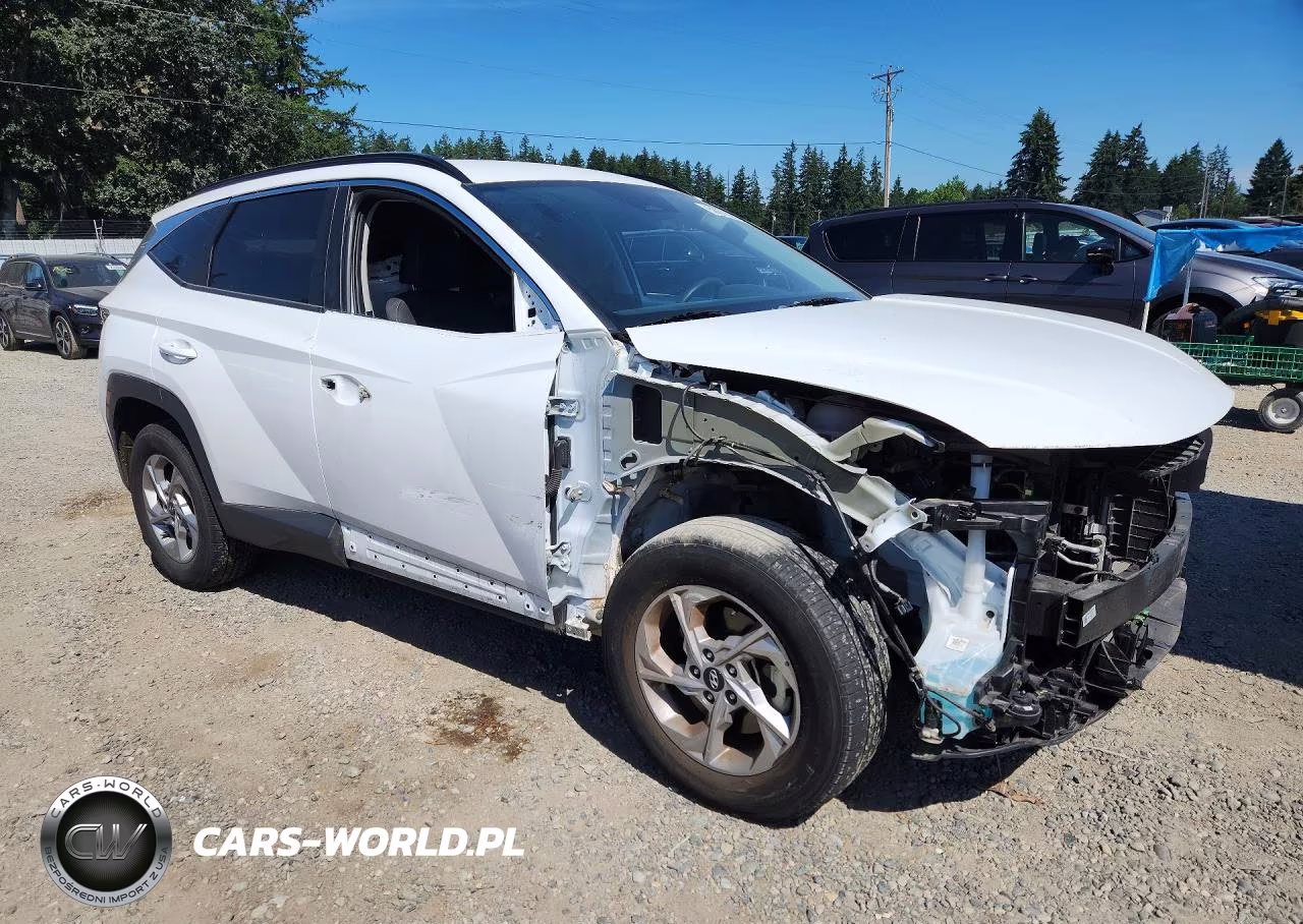 2024 Hyundai Tucson Sel VIN:5NMJBCDE6RH337811 - 4