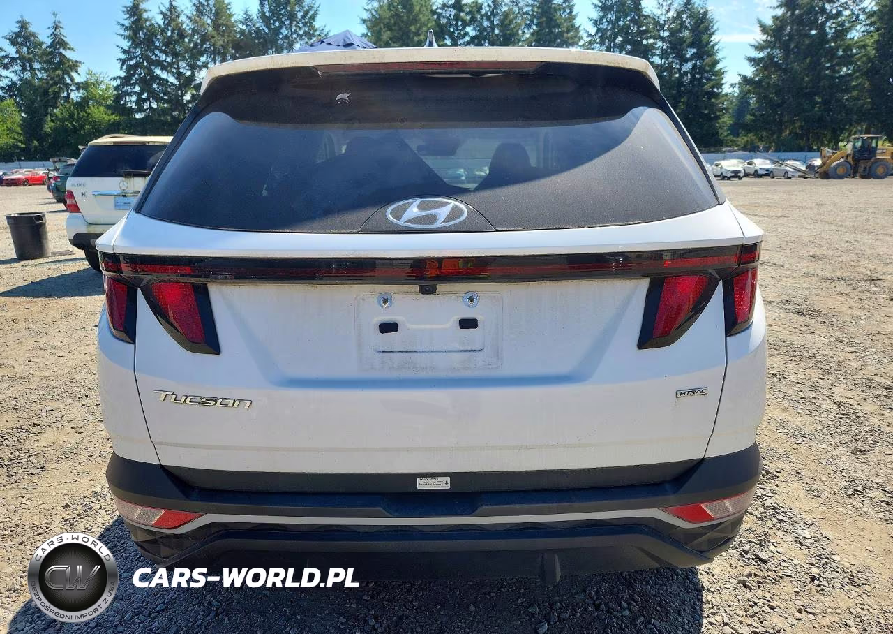 2024 Hyundai Tucson Sel VIN:5NMJBCDE6RH337811 - 6