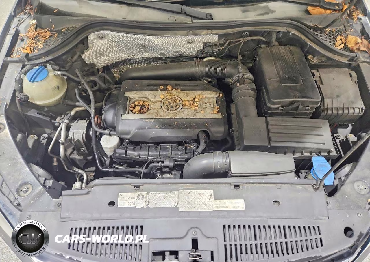 2012 Volkswagen Tiguan S VIN:WVGAV7AX3CW005832 - 12