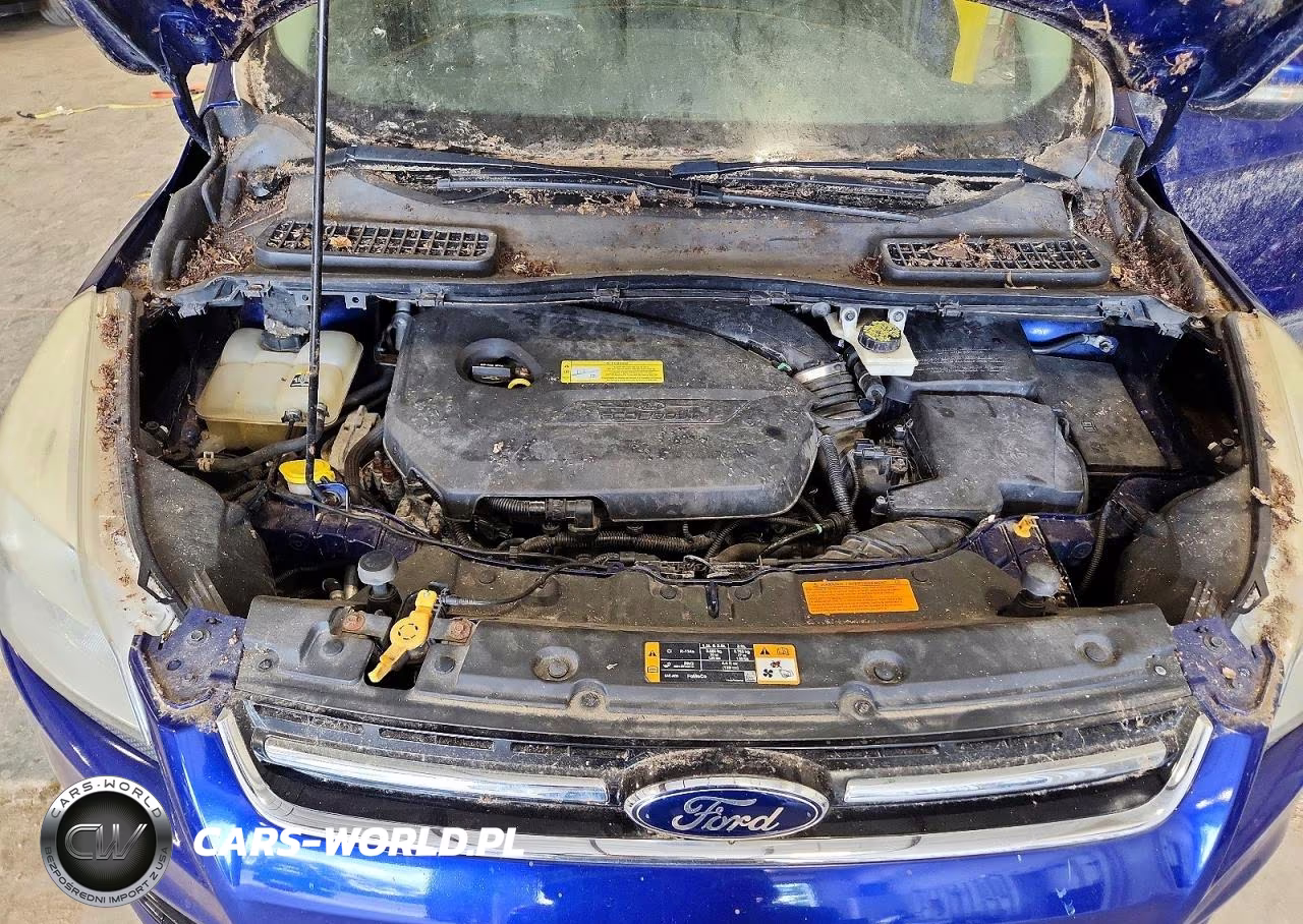 2013 Ford Escape Sel VIN:1FMCU0HX6DUA70731 - 12
