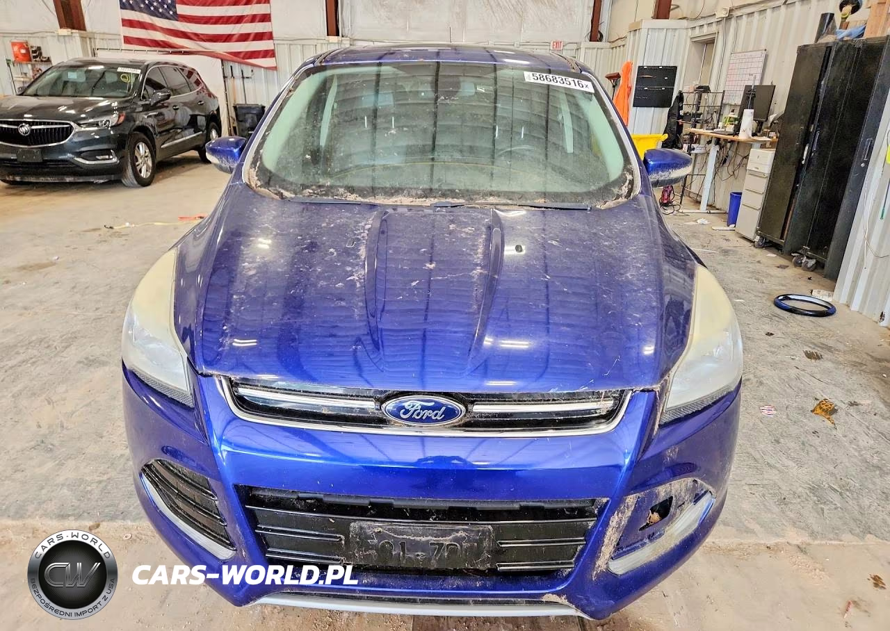 2013 Ford Escape Sel VIN:1FMCU0HX6DUA70731 - 5