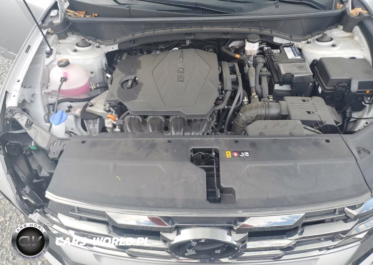 2025 Hyundai Tucson Limited VIN:5NMJE3DEXSH495887 - 12