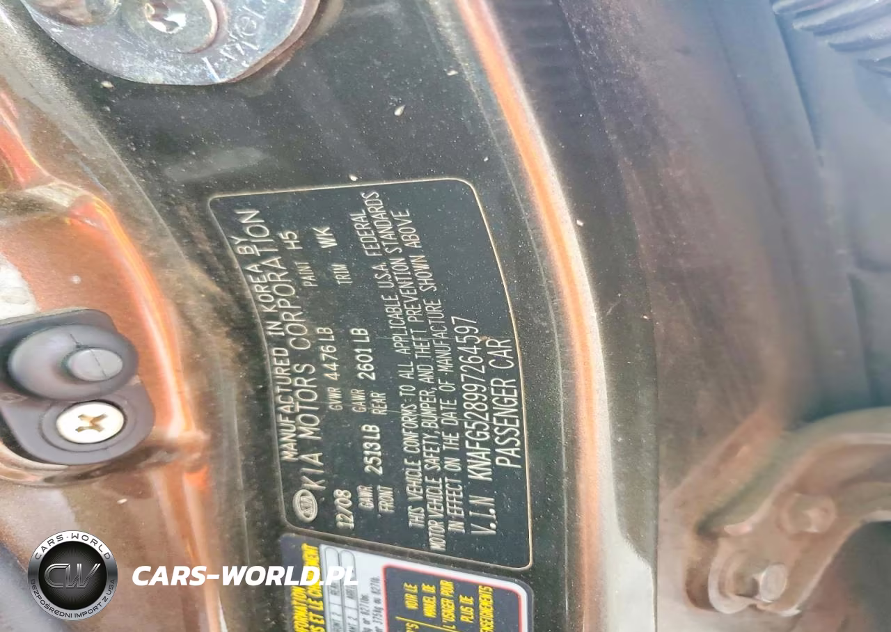 2009 Kia Rondo Base VIN:KNAFG528997264597 - 12