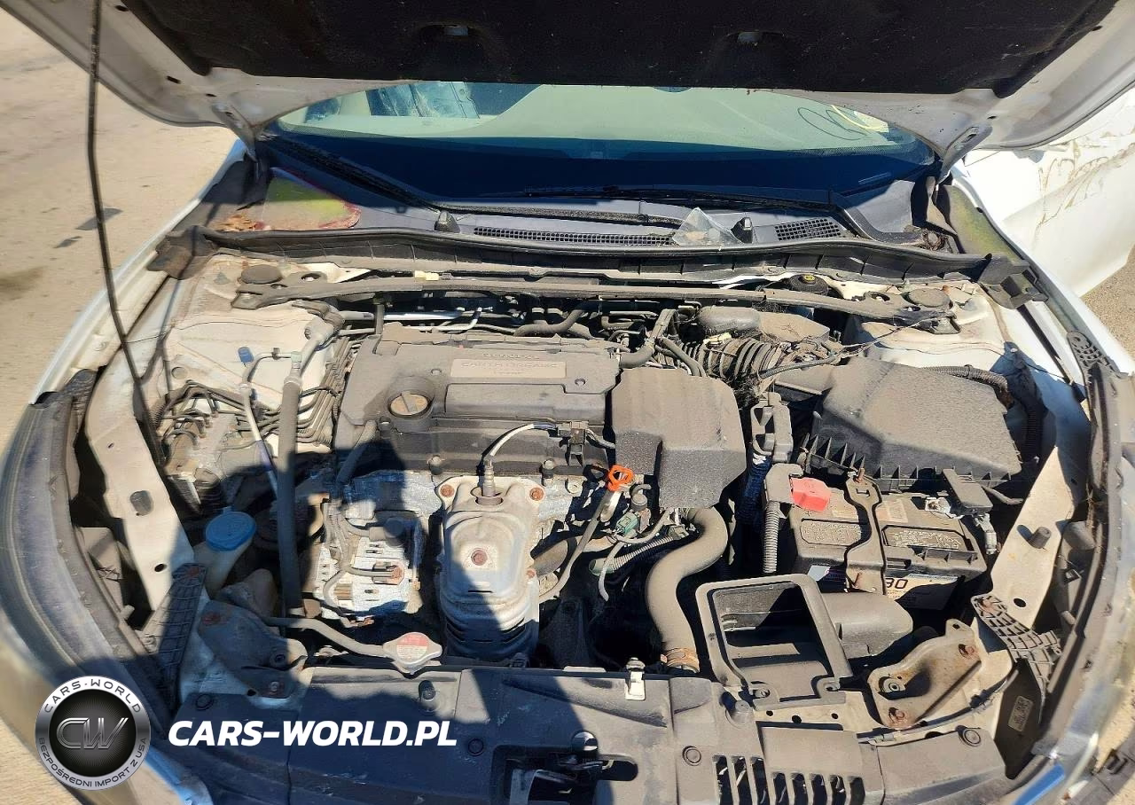 2013 Honda Accord Exl VIN:1HGCR2F89DA018946 - 11
