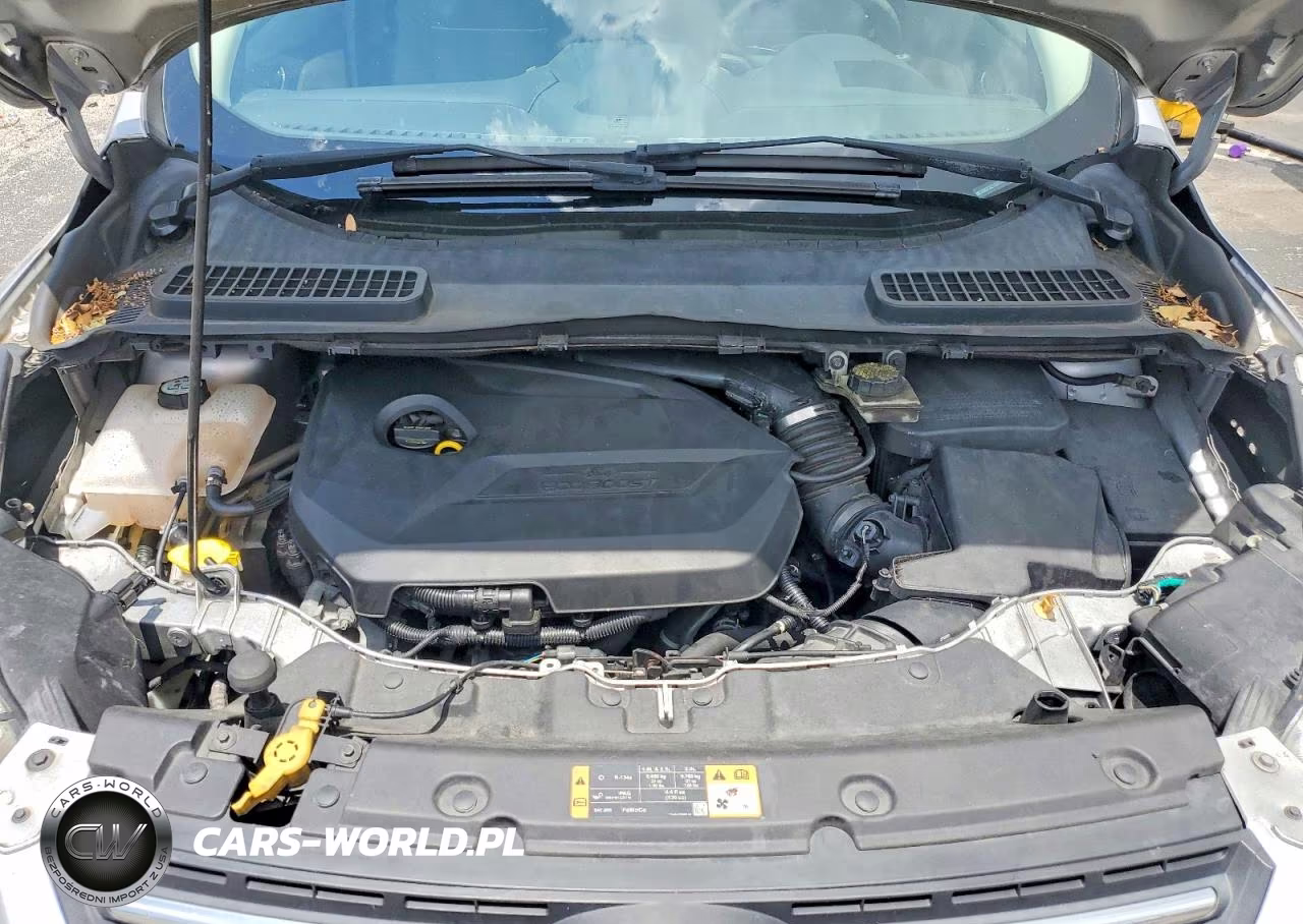 2014 Ford Escape Se VIN:1FMCU0GXXEUD31099 - 11