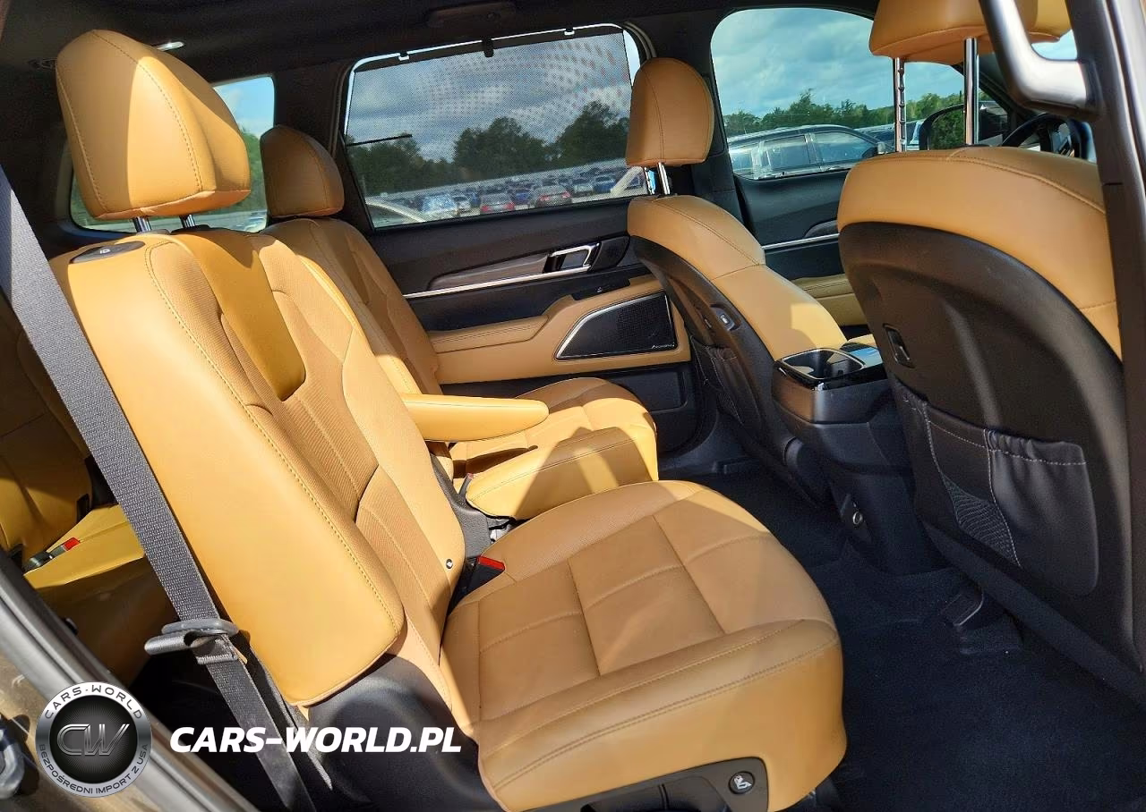 2022 Kia Telluride Sx VIN:5XYP54HC8NG256667 - 11