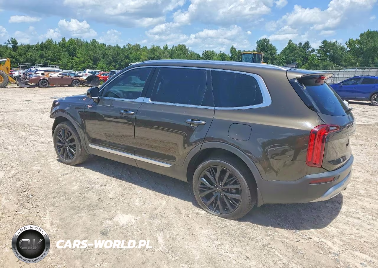 2022 Kia Telluride Sx VIN:5XYP54HC8NG256667 - 2